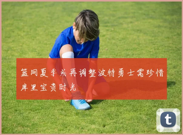 篮网夏季或再调整波特勇士需珍惜库里宝贵时光