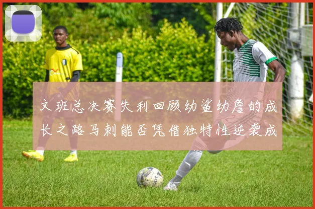 文班总决赛失利回顾幼鲨幼詹的成长之路马刺能否凭借独特性逆袭成功