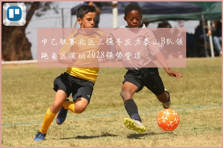 中乙联赛北区三强齐发力泰山B队领跑南区深圳2028强势登顶