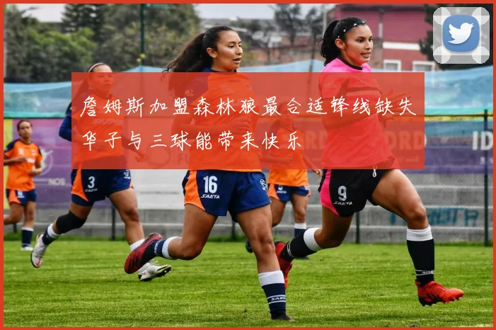詹姆斯加盟森林狼最合适锋线缺失华子与三球能带来快乐